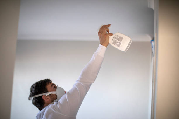 Best Fast Mold Removal  in Moyie Springs, ID