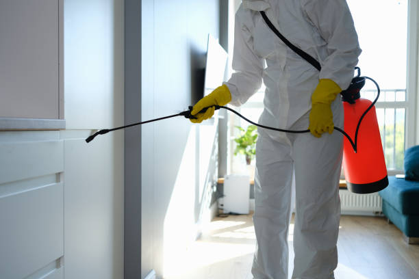 Best Mold Remediation  in Moyie Springs, ID