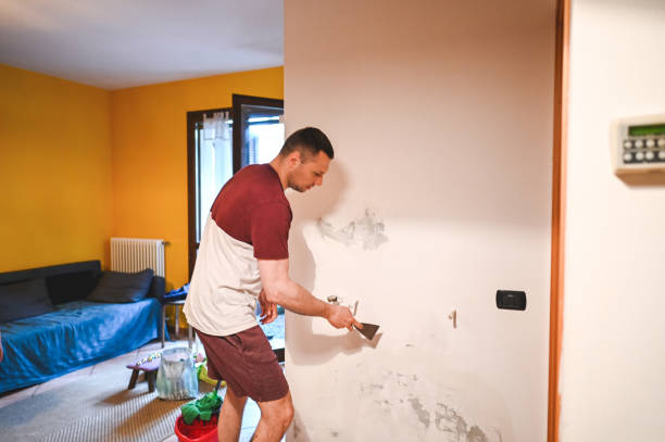 Best Fast Mold Removal  in Moyie Springs, ID